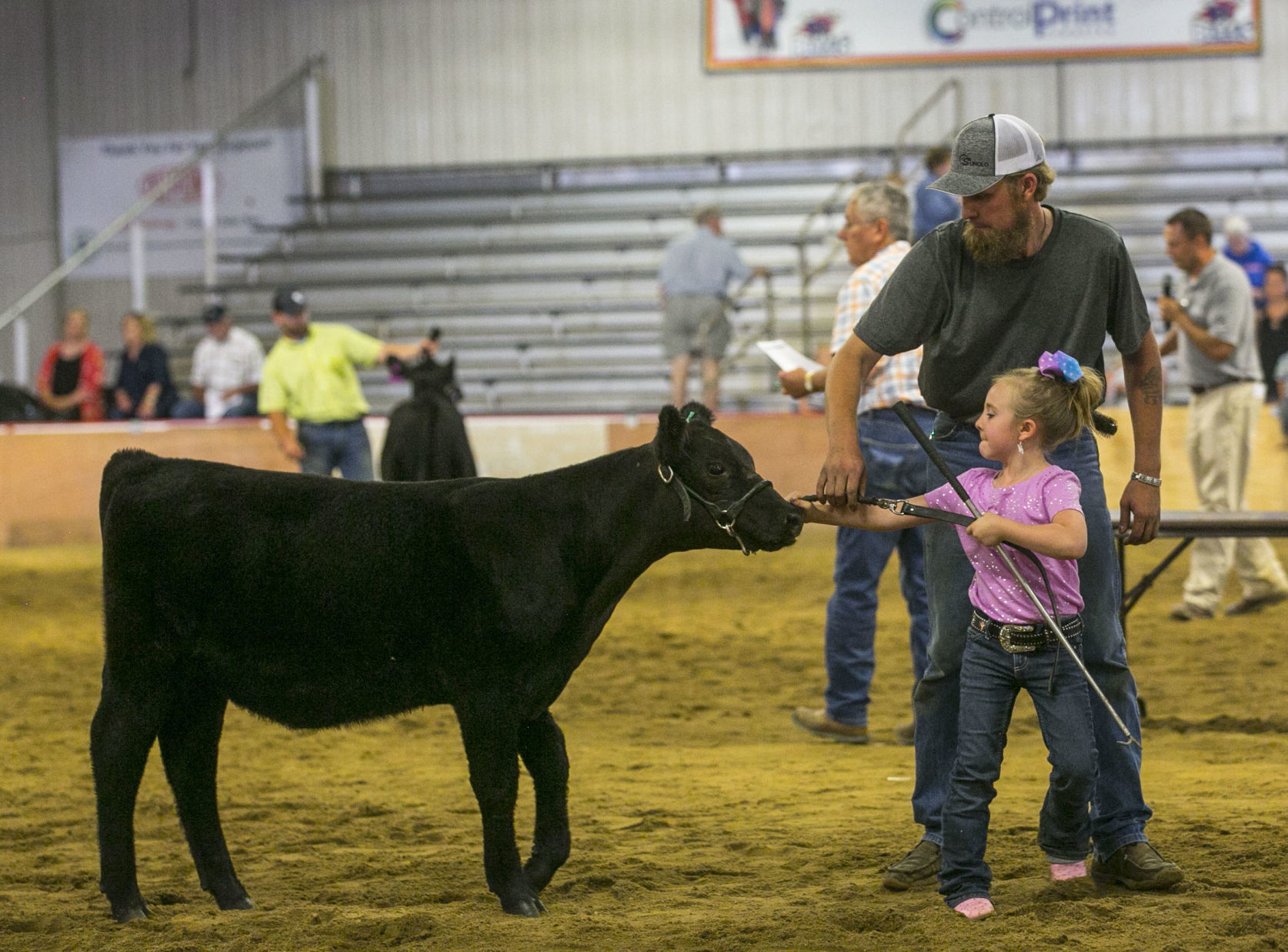 Fair 19